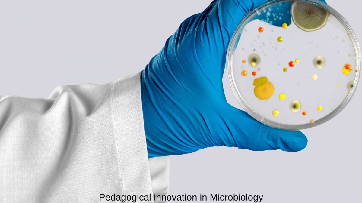 Pedagogical innovation in Microbiology: As Experiential learning collaborates with traditional learning